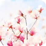 Magnolia Flower Live Wallpaper | Indus Appstore | App Icon