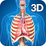 Respiratory System Anatomy | Indus Appstore | App Icon