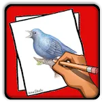 How to Draw Birds | Indus Appstore | App Icon