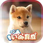 Shibainu Simulation Game 3D | Indus Appstore | App Icon