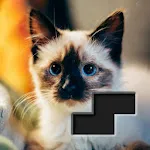 Block Square Jigsaw Puzzle | Indus Appstore | App Icon