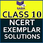 NCERT Exemplar Class 10 Books | Indus Appstore | App Icon