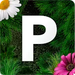 Pollen allergy warning Sweden | Indus Appstore | App Icon