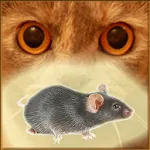 Mouse on the Screen for a Cat | Indus Appstore | App Icon