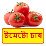 টমেটো চাষ ~ Tomato Cultivation | Indus Appstore | App Icon