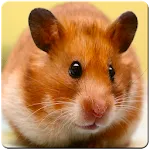 Cute Hamster Wallpaper | Indus Appstore | App Icon