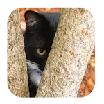 Find The Cat | Indus Appstore | App Icon