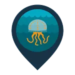 InfoJellyfish | Indus Appstore | App Icon