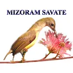 Mizoram Savate | Indus Appstore | App Icon