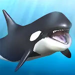 Orca  and marine mammals | Indus Appstore | App Icon