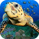 Popar Sea Life | Indus Appstore | App Icon