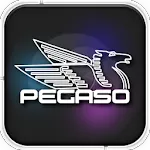 Pegaso Plus | Indus Appstore | App Icon