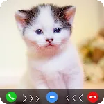 cat fake video call prank | Indus Appstore | App Icon