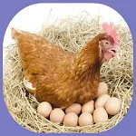 cultivation of laying hens | Indus Appstore | App Icon