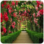 Garden photos frames | Indus Appstore | App Icon