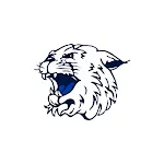 Woodson USD 366 | Indus Appstore | App Icon