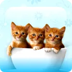 Kitty Cool: HD Cats Wallpapers | Indus Appstore | App Icon