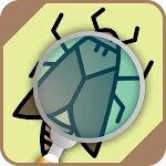 Automatic insect identifier | Indus Appstore | App Icon