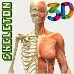 Human Skeleton 3D ( Anatomy ) | Indus Appstore | App Icon