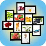 My Picture Library | Indus Appstore | App Icon