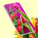 Tulips Spring Live Wallpaper | Indus Appstore | App Icon