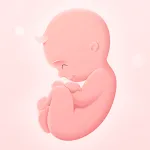 My Pregnancy - Baby Tracker | Indus Appstore | App Icon