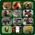 Animal Sounds | Indus Appstore | App Icon