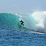 Surf Wallpapers | Indus Appstore | App Icon