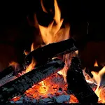 Real Fireplace Live Wallpaper | Indus Appstore | App Icon