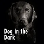 Wallpaper-Dog in the Dark- | Indus Appstore | App Icon