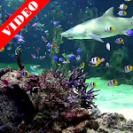 Video Wallpaper: Aquarium | Indus Appstore | App Icon