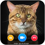 Cat Video Call Prank- Cat Game | Indus Appstore | App Icon