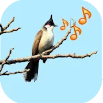 Singing Birds | Indus Appstore | App Icon