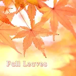 Fall Leaves Theme +HOME | Indus Appstore | App Icon