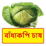 বাঁধাকপি চাষের সঠিক পদ্ধতি | Indus Appstore | App Icon