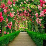 Garden Wallpapers | Indus Appstore | App Icon