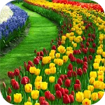 Garden Wallpapers 4k | Indus Appstore | App Icon