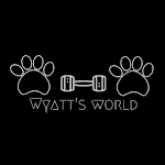 Wyatt’s World Fitness | Indus Appstore | App Icon