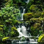 Waterfall Wallpapers | Indus Appstore | App Icon