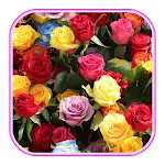 Flower wallpaper | Indus Appstore | App Icon