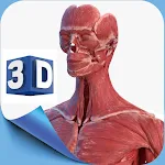 Female Anatomy 3D Anatomy App | Indus Appstore | App Icon