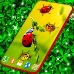 Cute Ladybug Live Wallpaper | Indus Appstore | App Icon