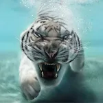 Tiger Live Wallpaper | Indus Appstore | App Icon