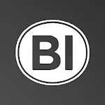 BI Group Partners | Indus Appstore | App Icon