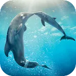 Dolphins Live Wallpaper | Indus Appstore | App Icon