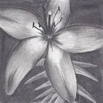 Charcoal Drawing | Indus Appstore | App Icon