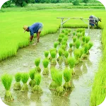 Agriculture Wallpaper | Indus Appstore | App Icon