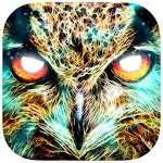 Shamanic Oracle Cards | Indus Appstore | App Icon