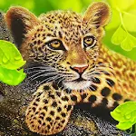 The Leopard | Indus Appstore | App Icon