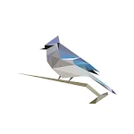 BirdNET | Indus Appstore | App Icon